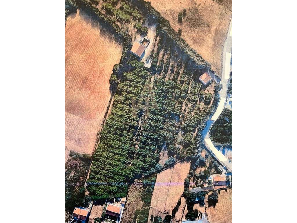 Propriedade Industrial / Produção e Habitação Própria - Grande imagem: 2/11