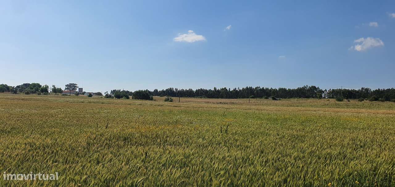 IMPERDÍVEL  Quinta em Foros do Carrapatal, Canha Montijo 51.000m2-23