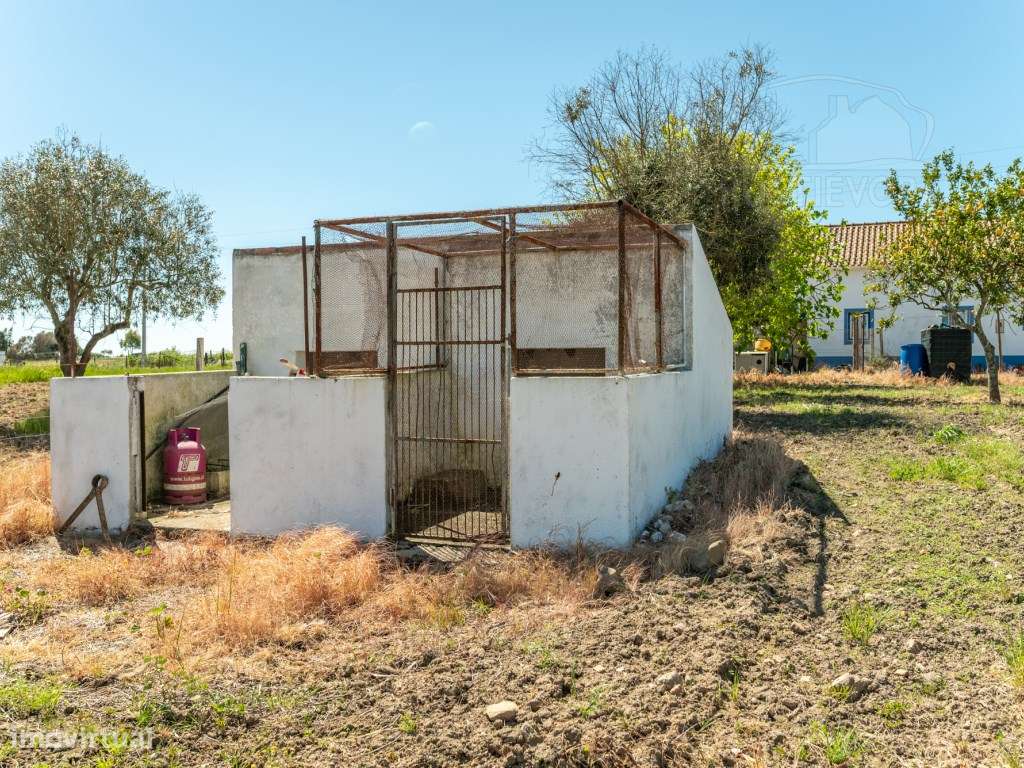 Quinta com duas moradias a 5 minutos de Montemor-o-Novo-21