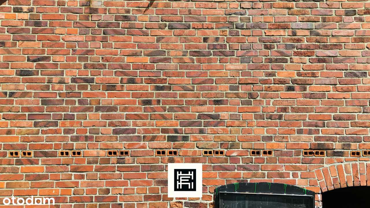 Industrialna stodoła, wielki teren i las–czy to będzie Twoje miejsce?-12