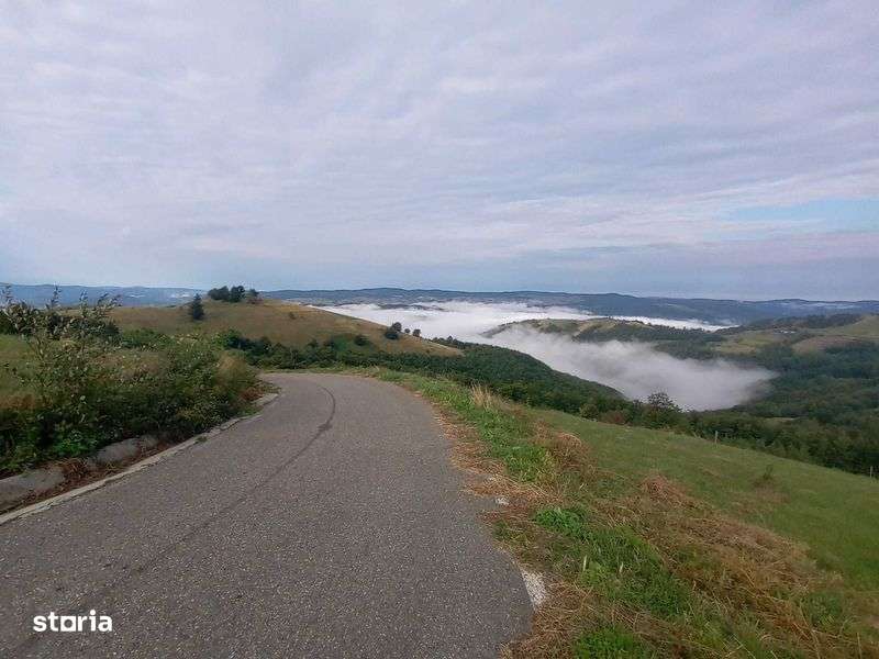 Vand casa batranesca Sopotul Nou si 24ha pasune total 125000euro - Imagine principală: 4/8