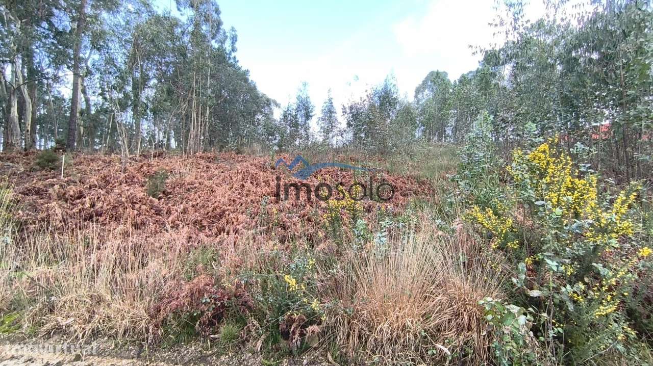 Terreno Rústico com 6350 m² em Zona Industrial-6
