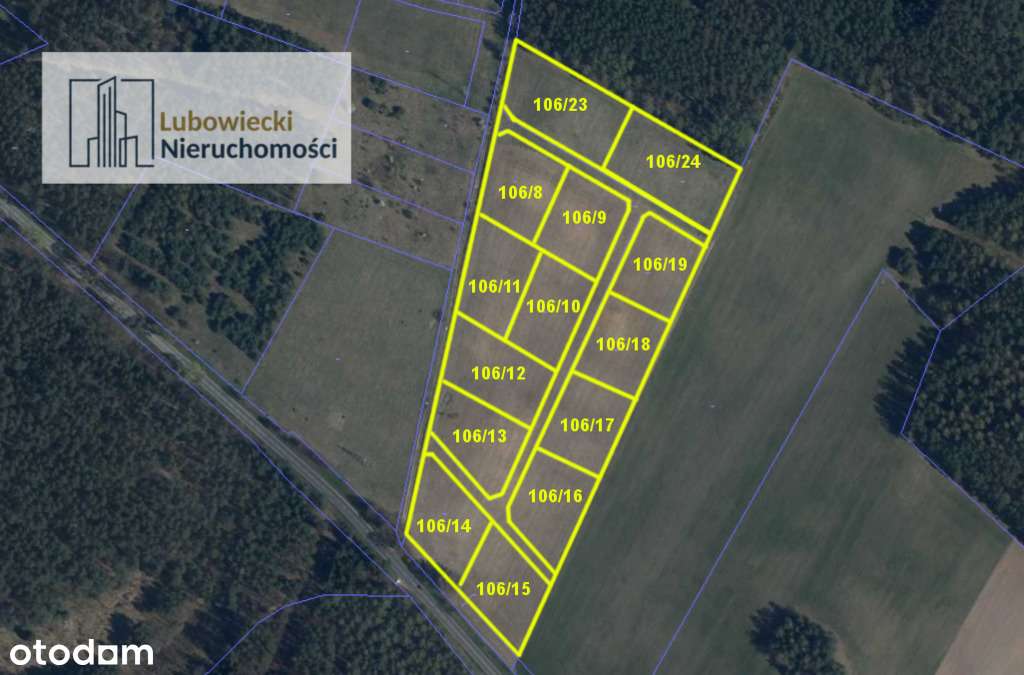 Kompleks działek w Dębówku - Pełny obrazek: 3/13