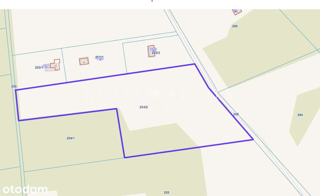 ⚡Działka leśna⚡siedliskowa⚡ blisko rzeka Sona⚡ - Pełny obrazek: 4/6