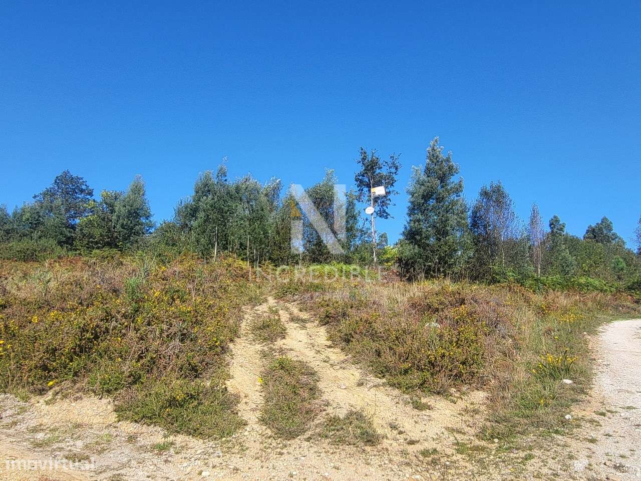 Terreno  Venda em Bucos,Cabeceiras de Basto-10
