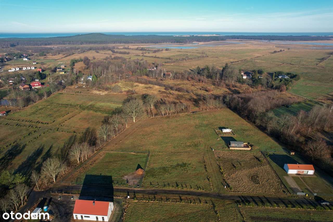 Smołdziński Las - działka - Pełny obrazek: 2/4