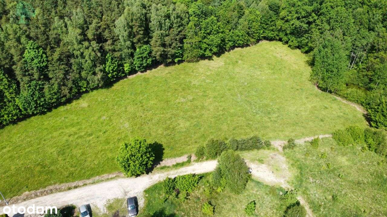 Działki pod lasem - budowlane z Wz - Leśniewo-10
