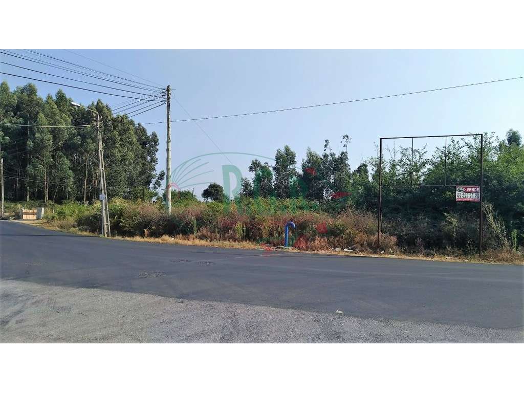 Terreno Baguim do Monte - Grande imagem: 4/4