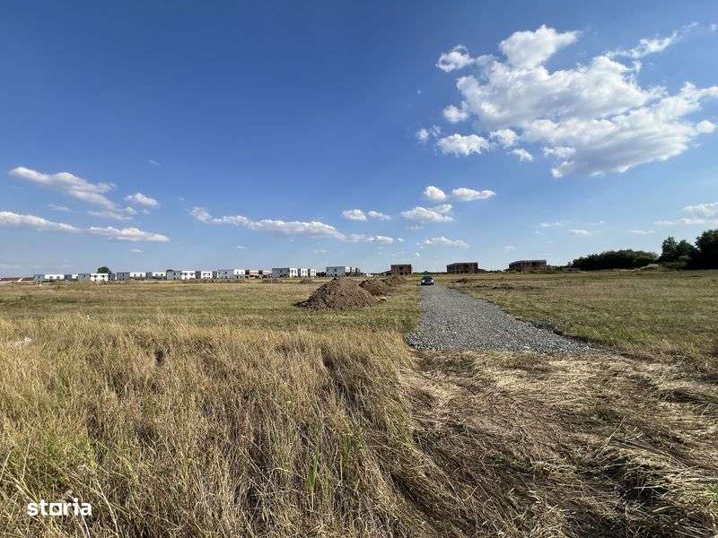 teren bucovat vand urgent - Imagine principală: 4/5