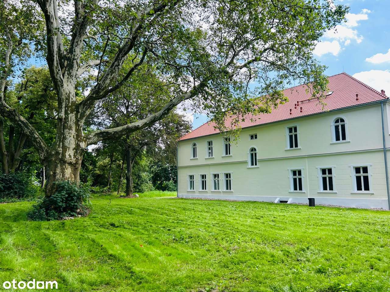 Pałac z wizją - SPA,basen,sala rozrywki | 10 ha | własny park - Pełny obrazek: 2/20