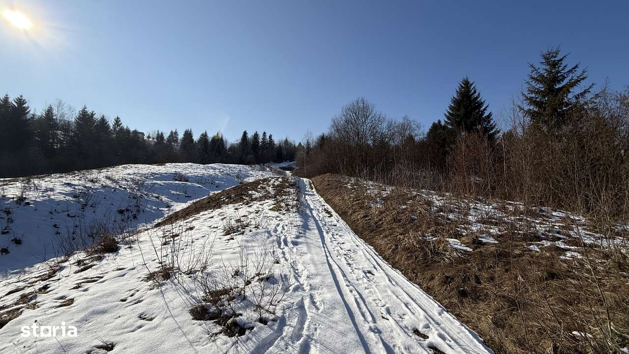 Teren extravilan 2.1 ha Sălătruc, Vama-8