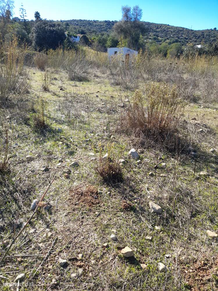 Terreno agrícola de 2160m² em Faro - Grande imagem: 3/3