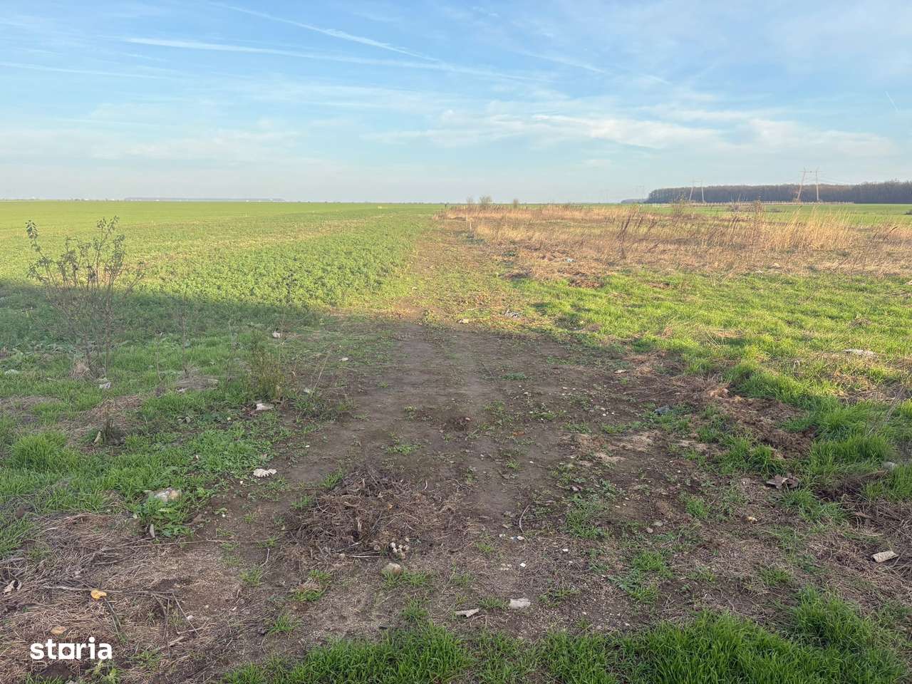 11 loturi de 507 mp (cota drum inclusa) – Strada Traian, Vadu Anei-4