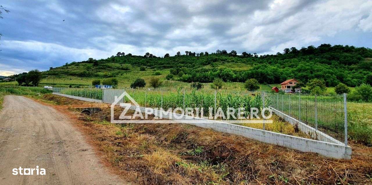 Teren intravilan 25 ari la iesire din Livezeni spre Ivanesti 48 eu /mp - Imagine principală: 2/4