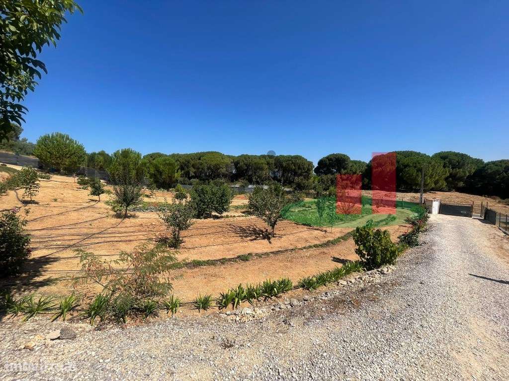 Terreno São João da Ribeira***RIOMAGIC***-4