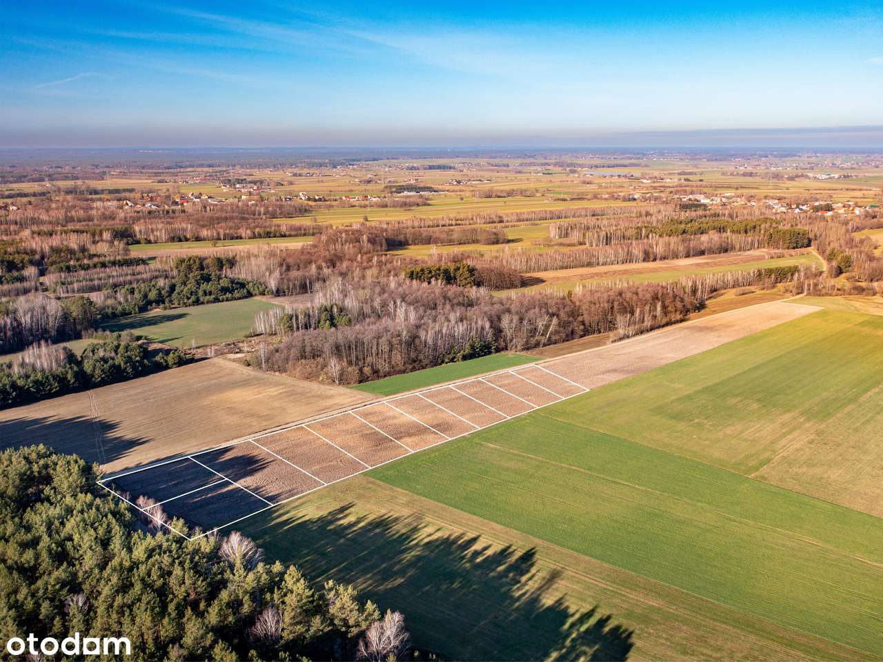 Działki budowlane w otoczeniu lasu pod dom lub inwestycje. Raty - Pełny obrazek: 4/11
