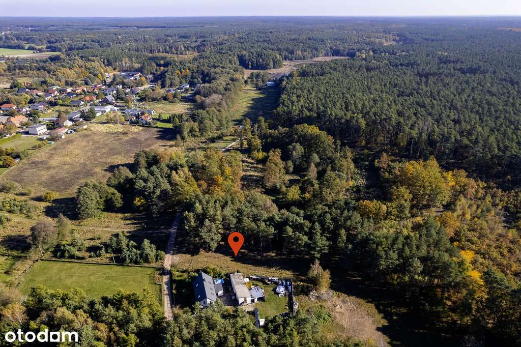 Las na własność, dom na wyłączność!-11