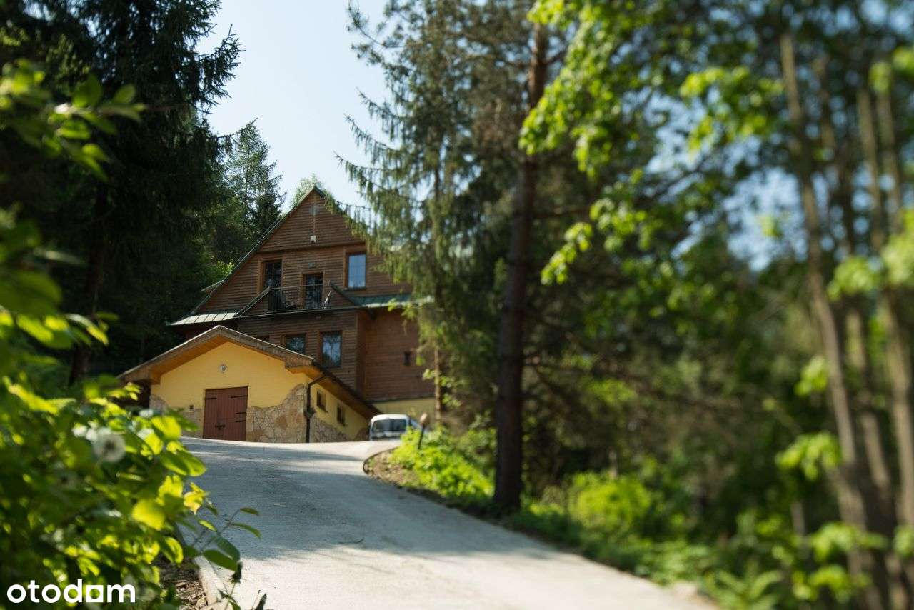 Dom, 440 m², Muszyna - Pełny obrazek: 4/17