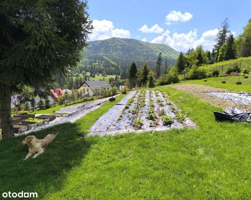 Teren U PodnÓŻa Rycerzowej - 0% Prowizji-5