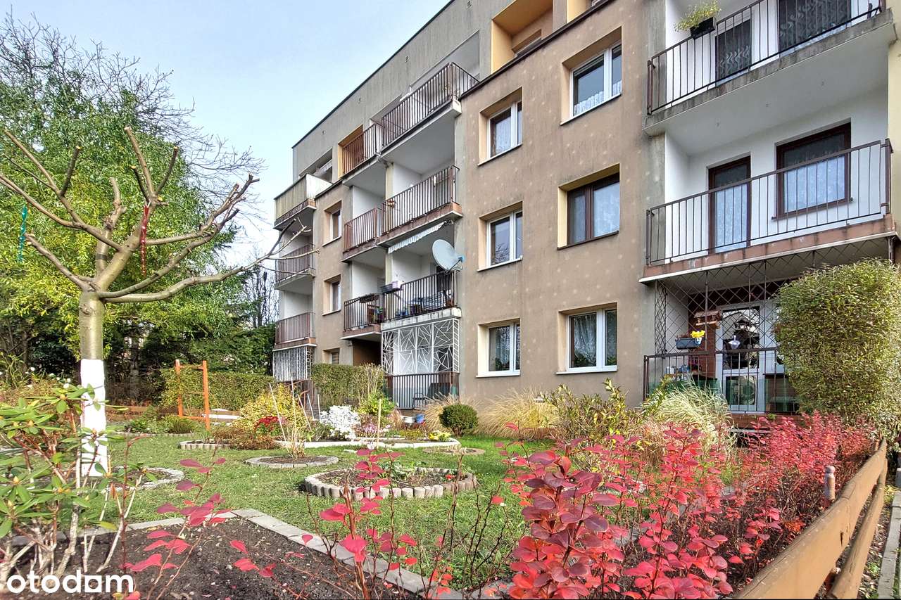 3 pok. mieszkanie do remontu w dobrej lokalizacji.-13