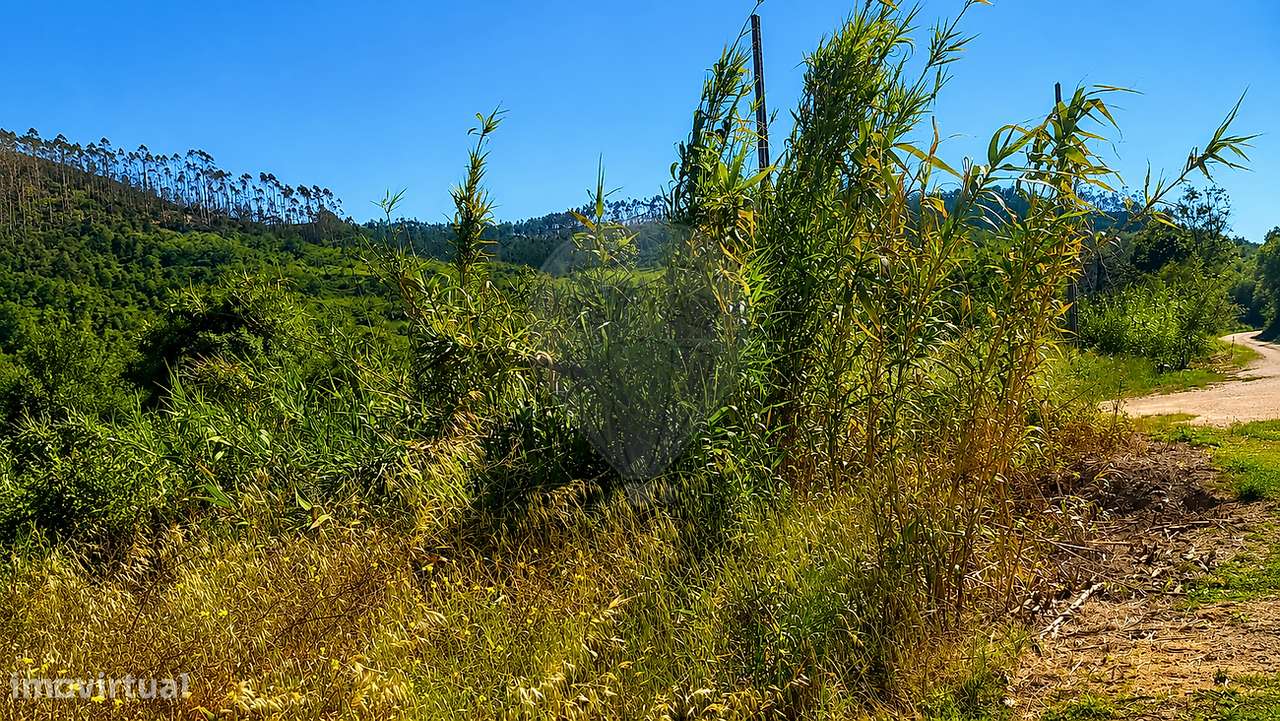 Terreno  para venda-3
