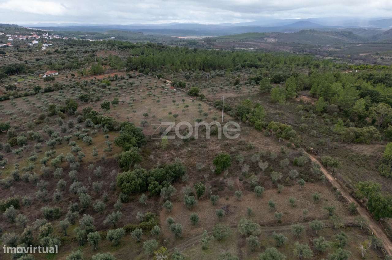 Terreno Rústico com 12.120 m² em Freixial do Campo - Castelo Branco - Grande imagem: 2/22