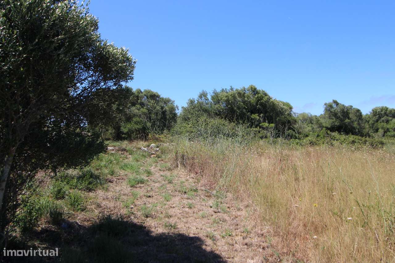 Terreno rústico com  1.160m²  na Assafora - Grande imagem: 3/6