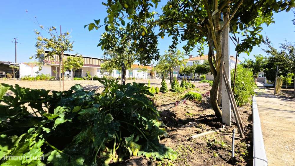 Quinta  com Moradia T6, Casa T2, Piscina Aquecida -  Salvaterra de Mag-45