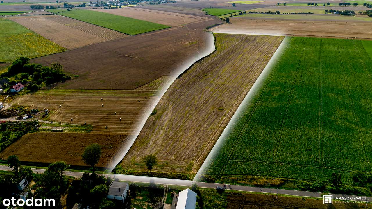 Działka 6,46 ha z mediami, drogą asfaltową i atrakcyjną lokalizacją! - Pełny obrazek: 5/20