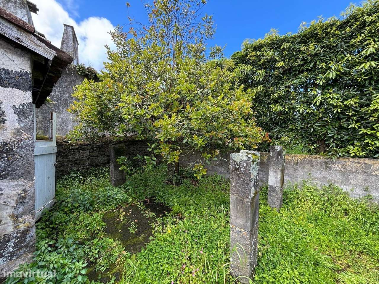 Excelente Oportunidade: Terreno com Adega para Habitação no Centro da-11