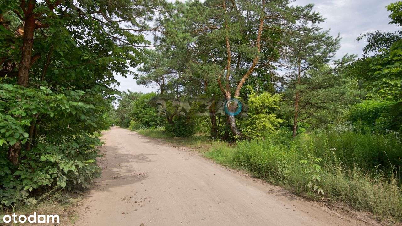 Tutaj można pójść na wrzosowisko i zapomnieć wszys - Pełny obrazek: 5/11