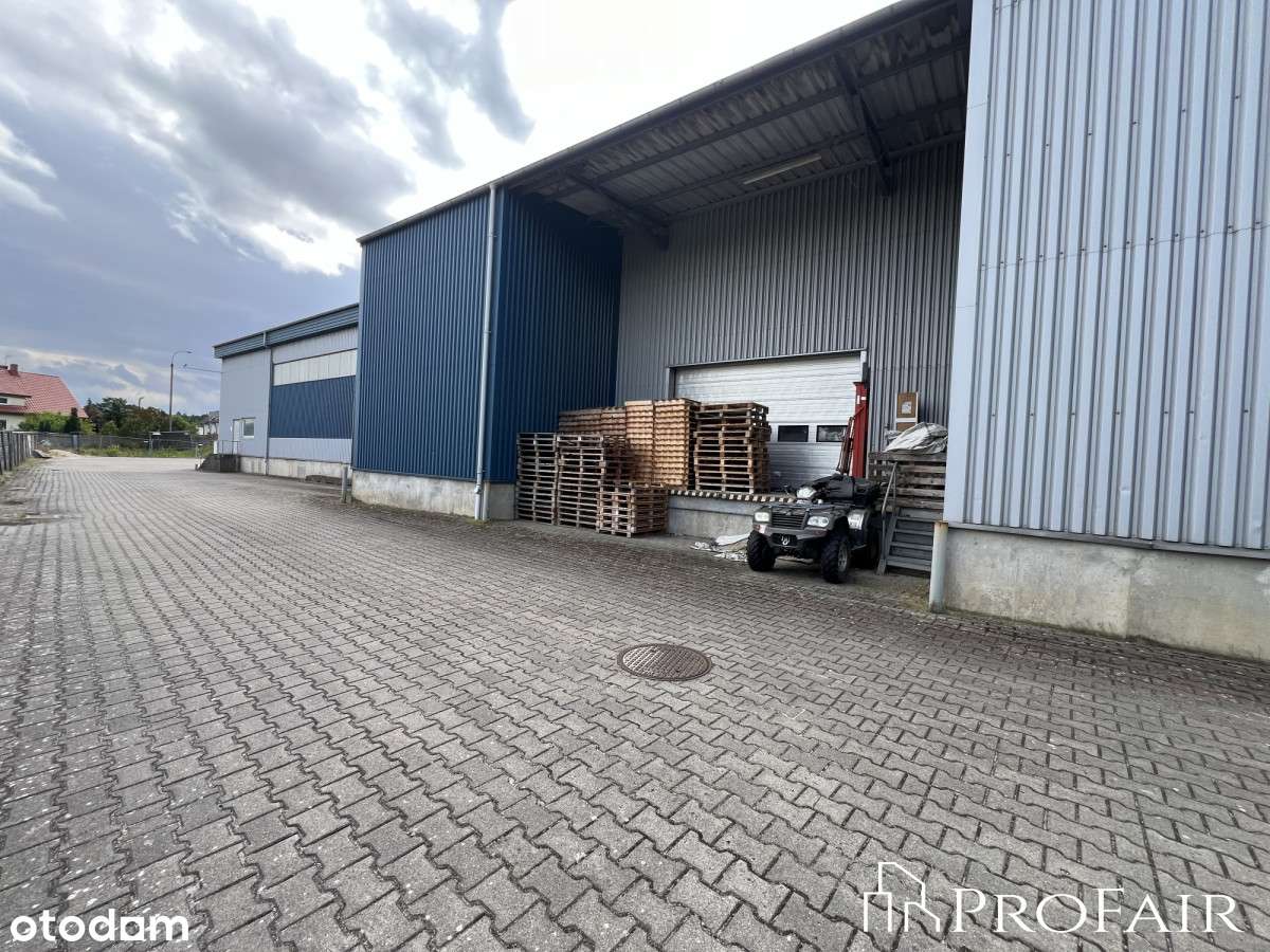 Magazyn W Rumi Blisko Drogi Gdynia - Szczecin! - Pełny obrazek: 4/7