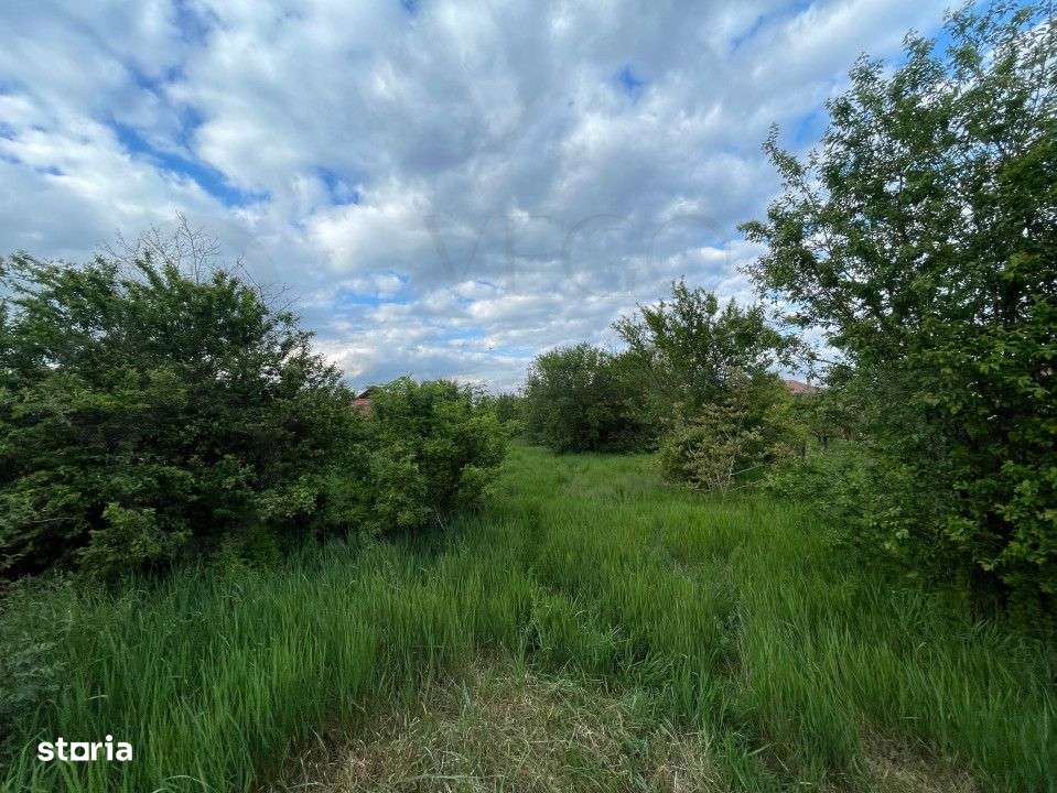 Teren intravilan, oportunitate investitie, 860 mp, in Campia Turzii-4