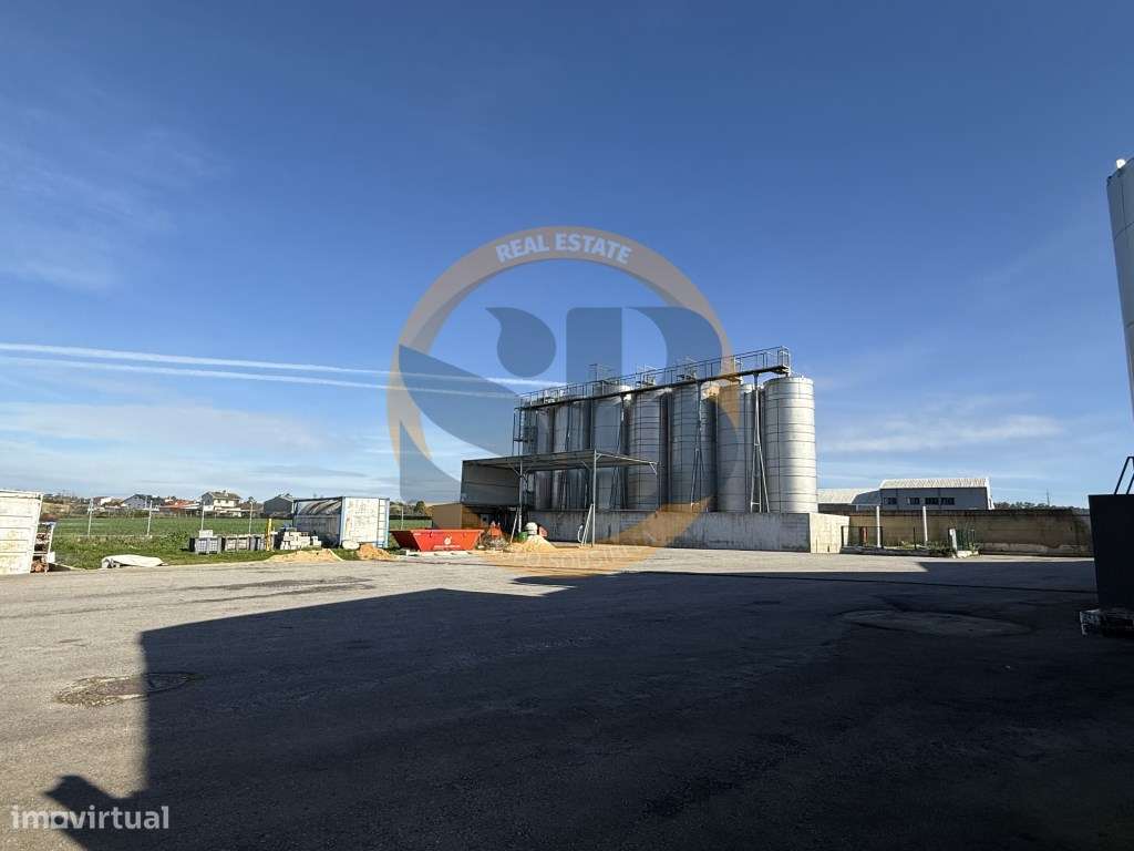 Armazém Industrial em Estarreja! ARRENDAMENTO - Grande imagem: 4/9