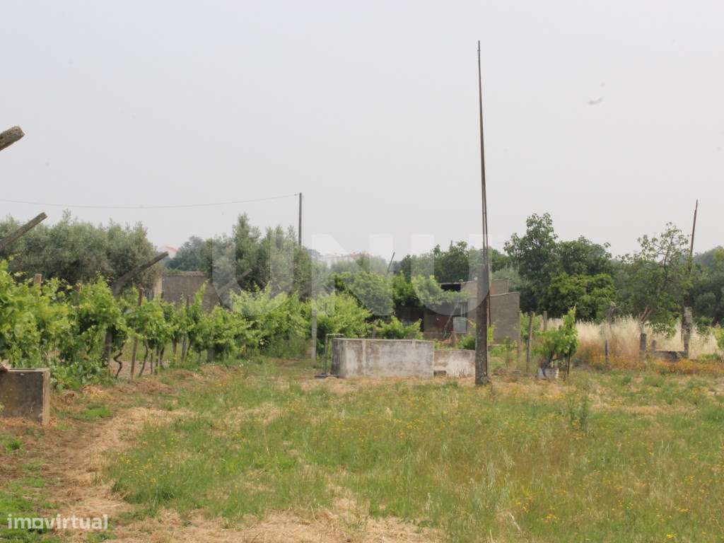 Quintinha com 1875m2 para Venda em Escalos de Cima - Grande imagem: 5/20