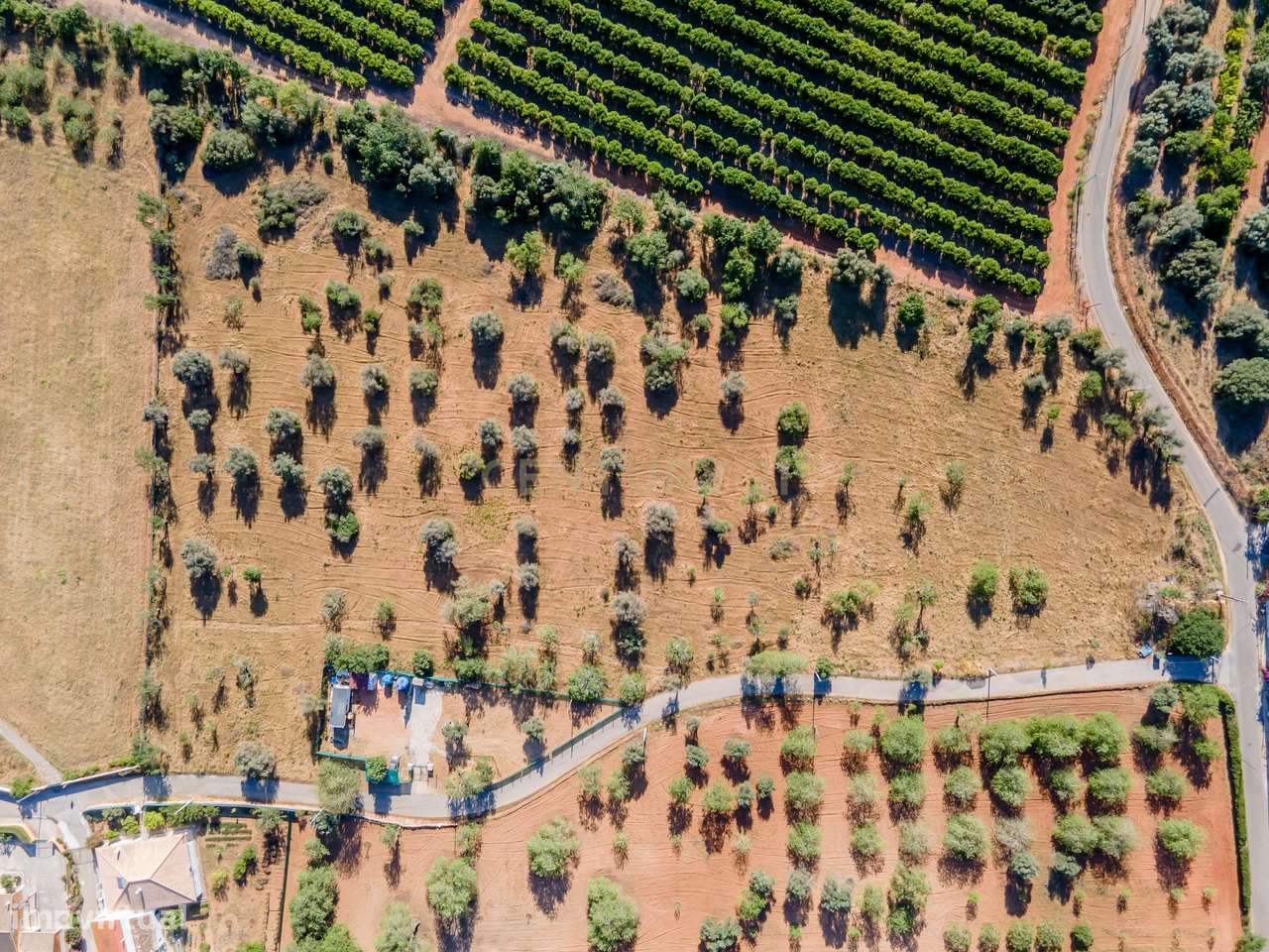 Terreno de 20,176 m2 com Ruina em Alvalede - Algoz - Grande imagem: 3/9