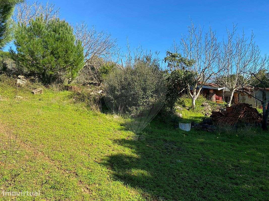 Terreno  para venda-6