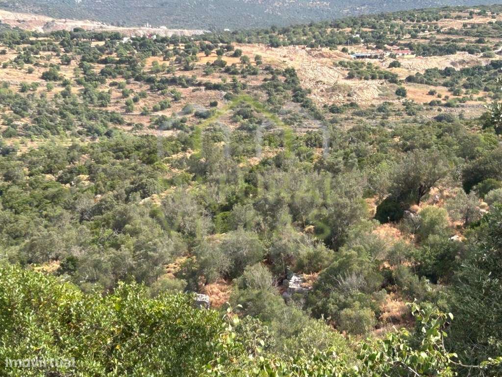 Ruína com Vista Panorâmica e Terreno em Moncarapacho - Grande imagem: 5/9