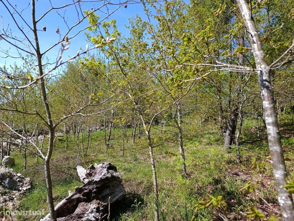 Terreno para construção - Grande imagem: 2/13