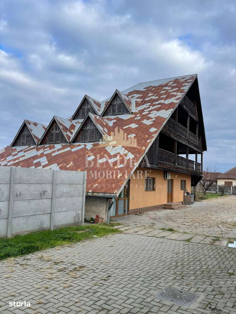 Vila deosebita potential urias- Giarmata-10