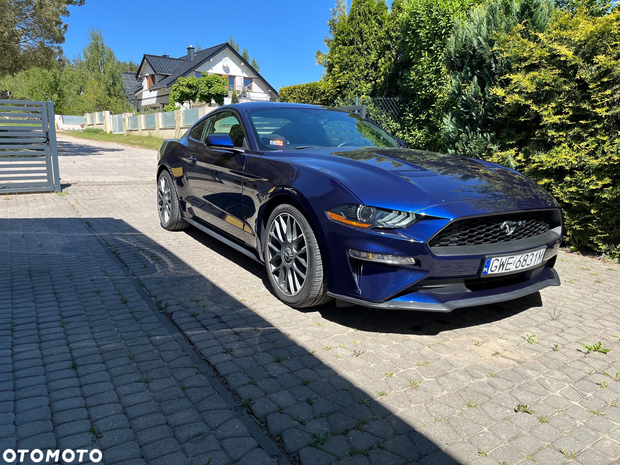 Ford Mustang 2.3 EcoBoost - 1