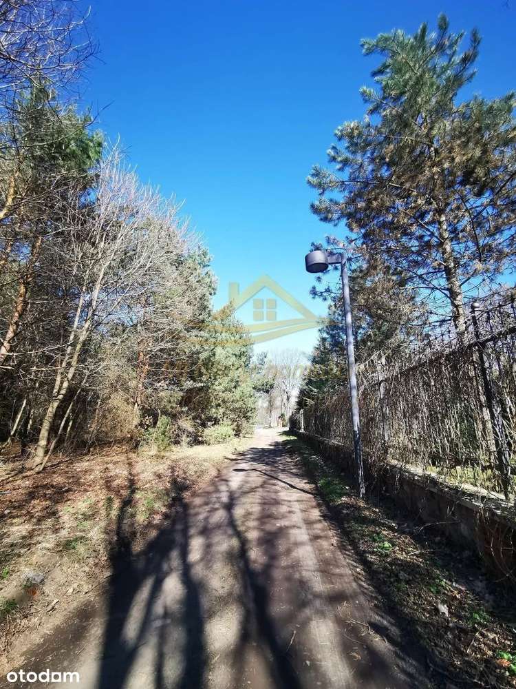 Działka rolno leśna winnica Dwórzno !-3