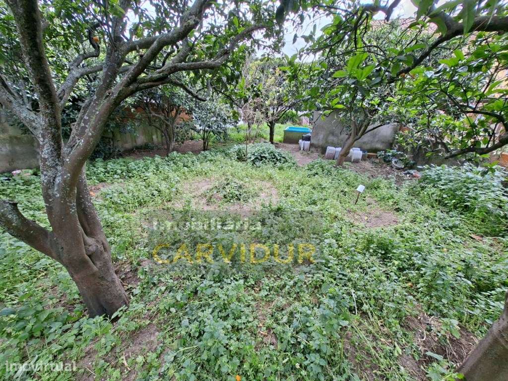 Lote 295m2 para construir moradia perto de Lisboa | Moita-15