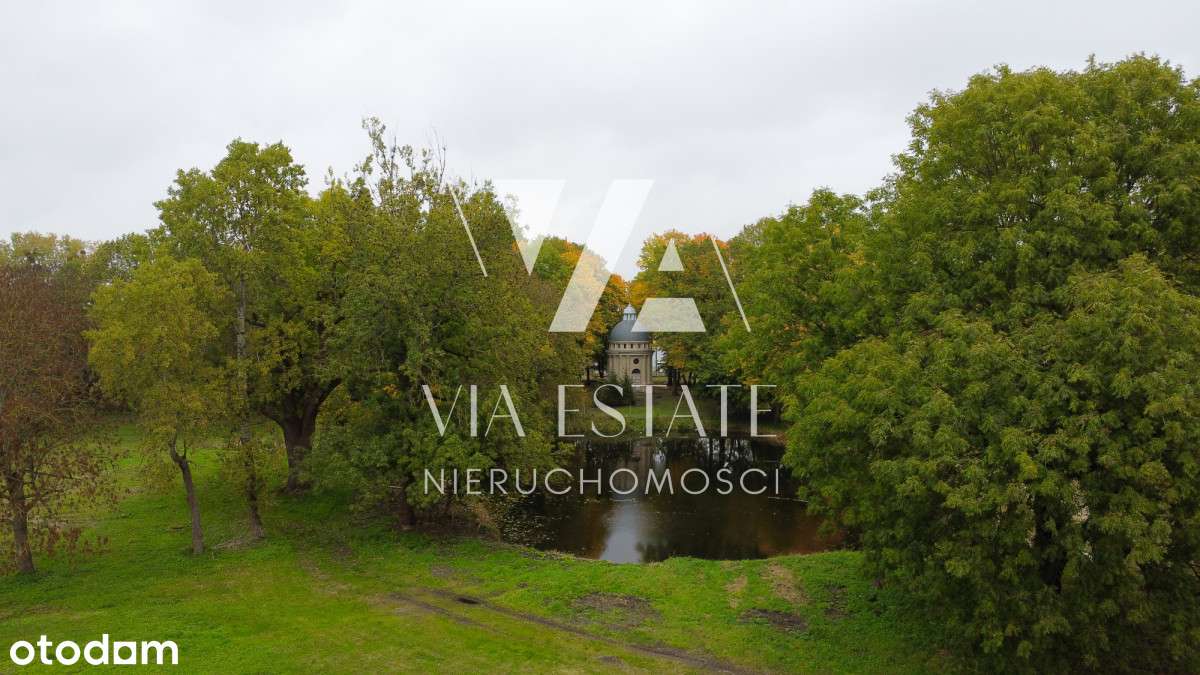 Pałac eklektyczny,zabytkowy park,stawy, do remontu-6