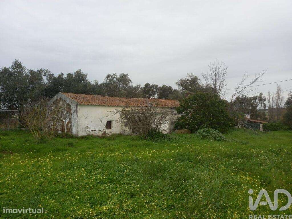 Quinta T1 em Santo André - Grande imagem: 4/6