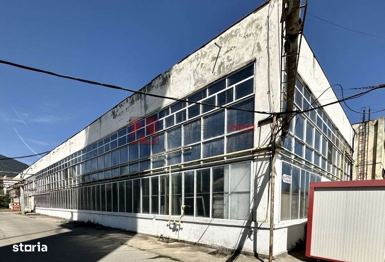 HALA 500 MP - PRET ATRACTIV - ACCES FACIL - CODLEA - Imagine principală: 5/6