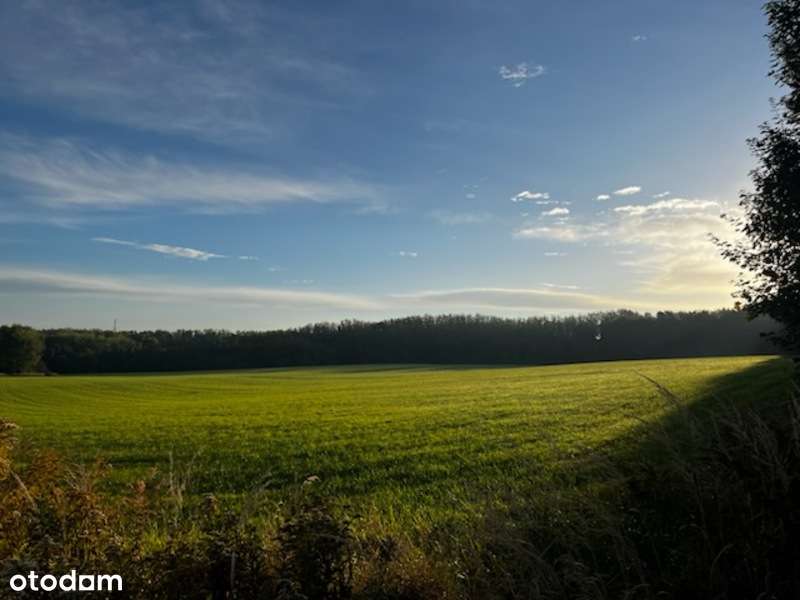 Ogród i wnętrza dopięte na ostatni guzik-15