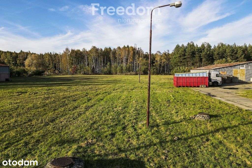 Atrakcyjny grunt na wynajem w strefie ekonomicznej - Pełny obrazek: 5/9