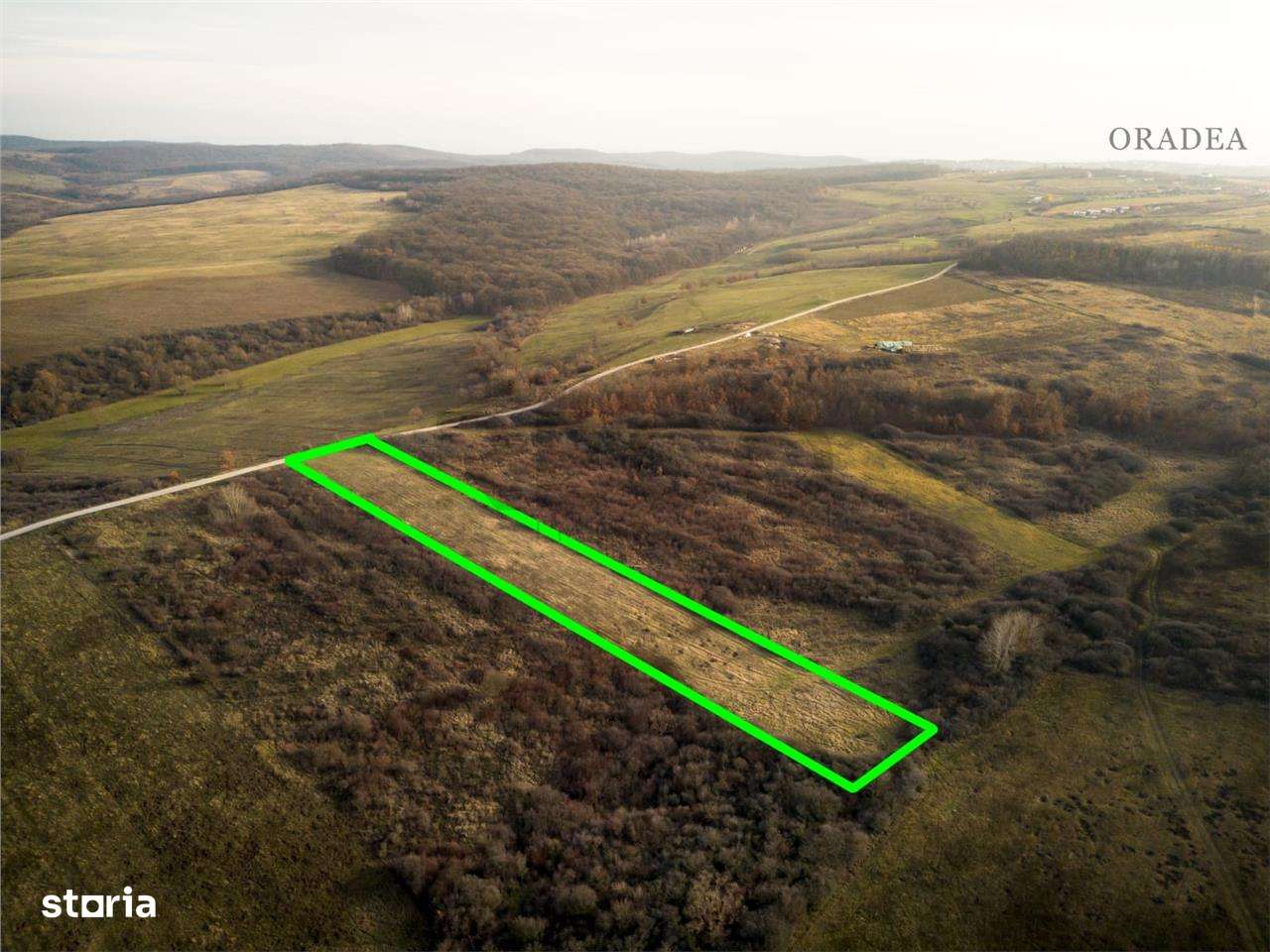 RECO . Teren extravilan . Uileacul de munte - Imagine principală: 3/7