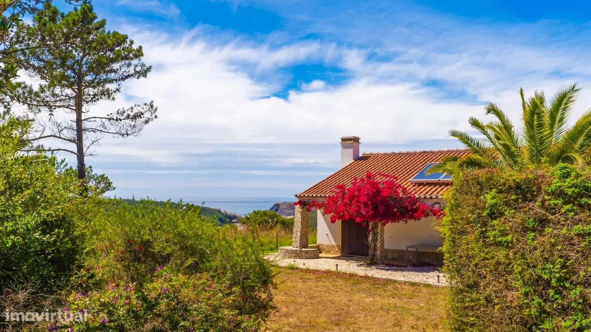 Vistas deslumbrantes - Grande imagem: 4/20